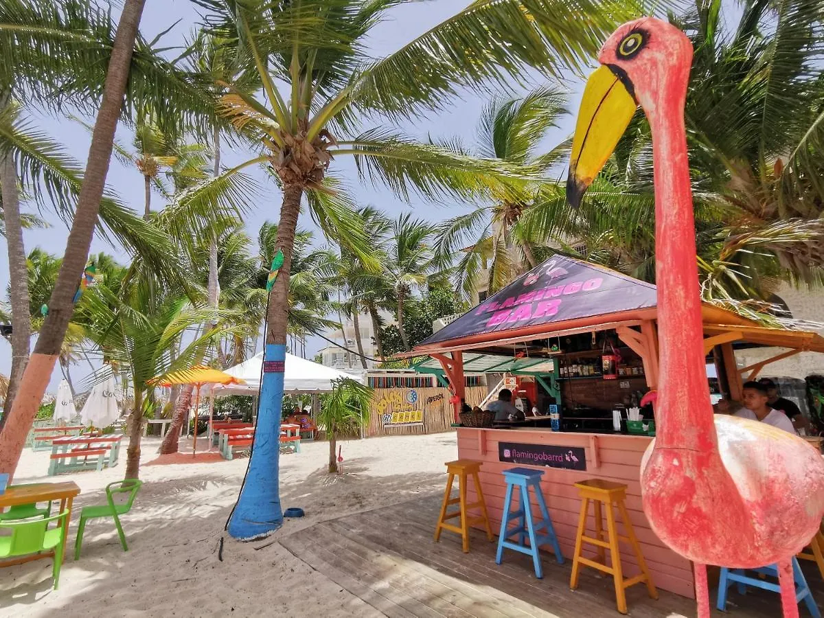 Coral Studios Playa Los Corales - Beach Club And Spa