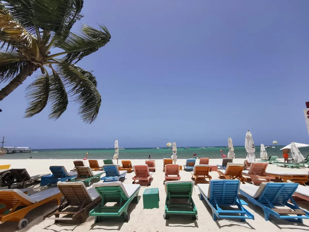 Hotel Coral Studios Playa Los Corales - Beach Club And Spa